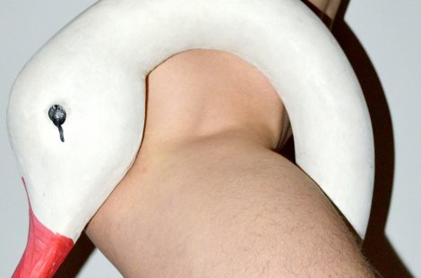 © Kostis Fokas © Kostis Fokas