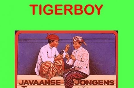 Buchcover Sugardaddy & Tigerboy © Edition Sastra