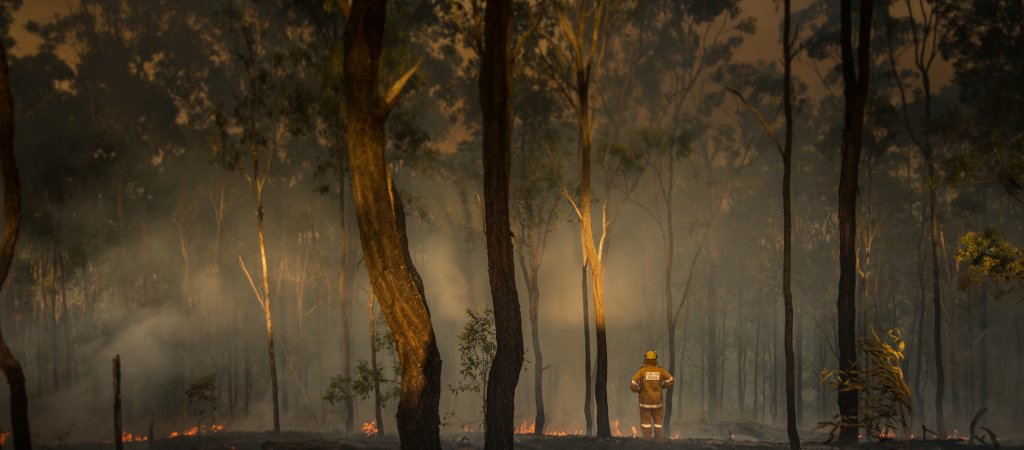 Spenden für Buschfeuer in Australien