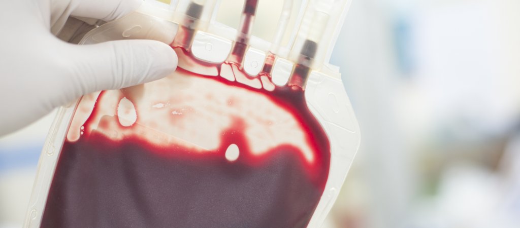 Blutspendeverbot bleibt bis 2021 erhalten