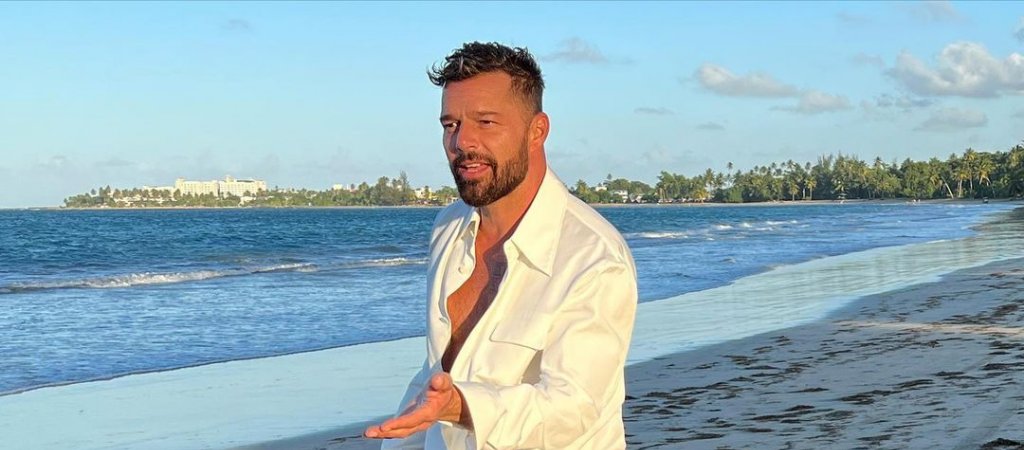 Neffe zieht Inzest-Vorwürfe gegen Sänger Ricky Martin zurück