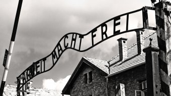 Sexualität und Homophobie zu Zeiten des Holocaust