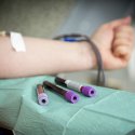 Neue Blutspende-Regelung in Australien